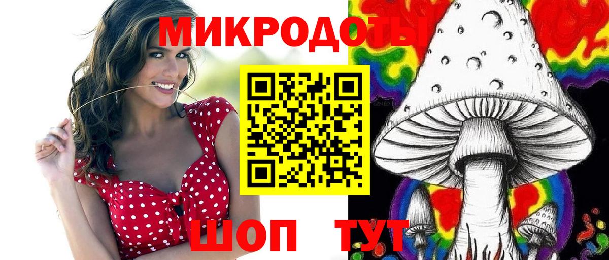 Галлюциногенные грибы Psilocybe Чернушка