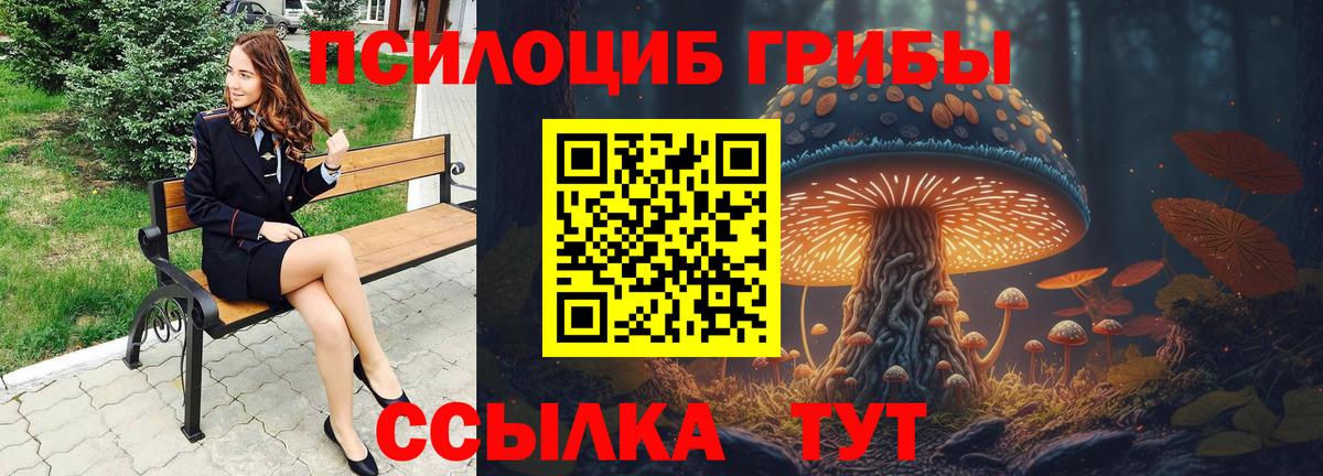 Чернушка  Галлюциногенные грибы ЛСД  купить наркоту  Вход с VPN 